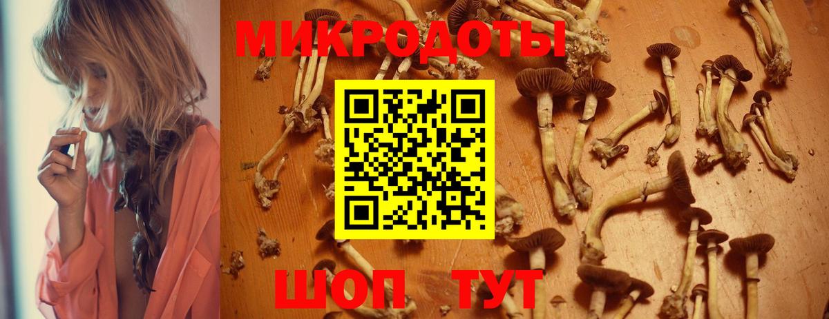 Псилоцибиновые грибы Magic Shrooms Миллерово