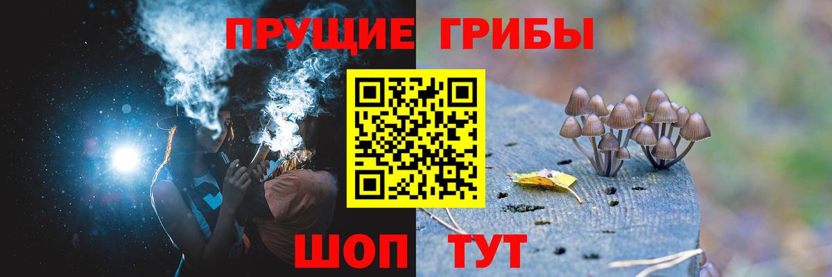 где продают наркотики  Галлюциногенные грибы прущие грибы  Вход с VPN  Миллерово 